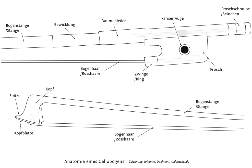 Anatomie eines Cellobogen zeichnung Johannes Daalmans